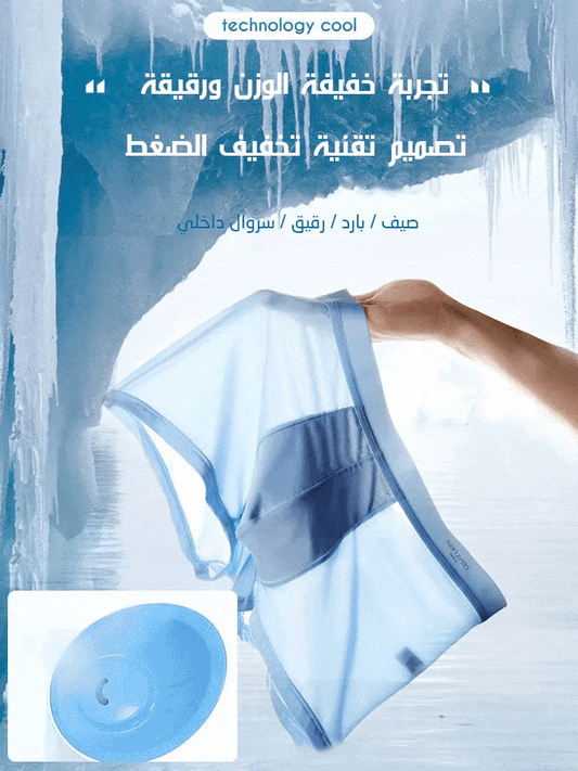 4pcs+4pcs-Men's Ice Silk Breathable Boxer Briefs