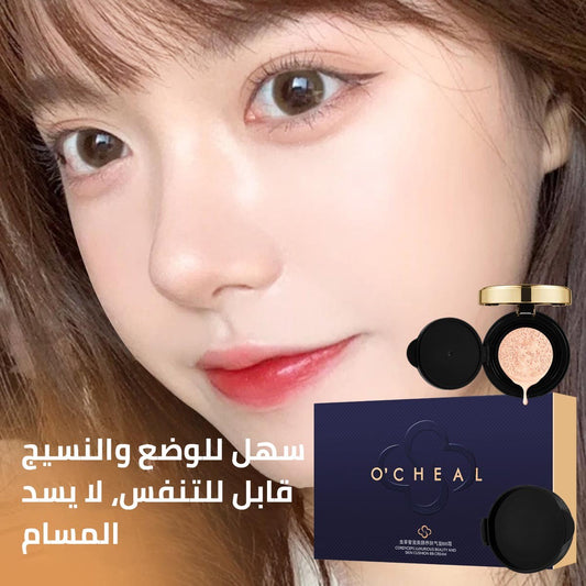 Beauty and skin nourishing air cushion BB cream