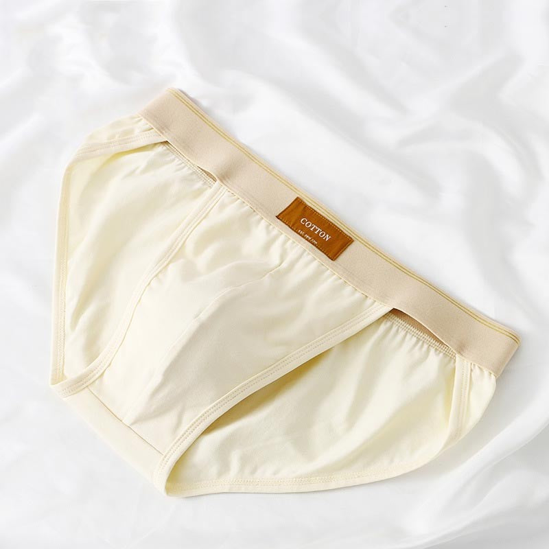 ah23-Men's Cotton Loose Simple Briefs